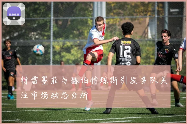 特雷墨菲与赫伯特琼斯引发多队关注市场动态分析